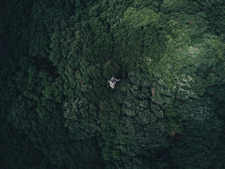 A drone's-eye view looking straight down onto a dense, dark green forest canopy. At the centre of the image, a small scientific monitoring tower with instruments and a boom arm is just visible above the treetops, dwarfed by the expanse of surrounding woodland.