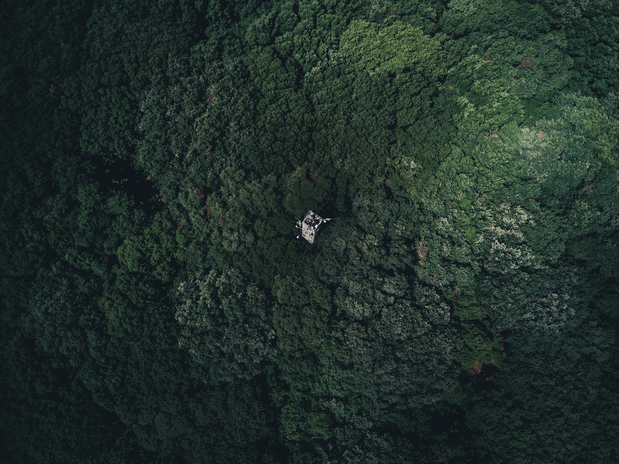 A drone's-eye view looking straight down onto a dense, dark green forest canopy. At the centre of the image, a small scientific monitoring tower with instruments and a boom arm is just visible above the treetops, dwarfed by the expanse of surrounding woodland.